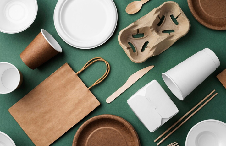 Kağıt Salata Kasesi: Türler, Kullanım ve Kompost Rehberi