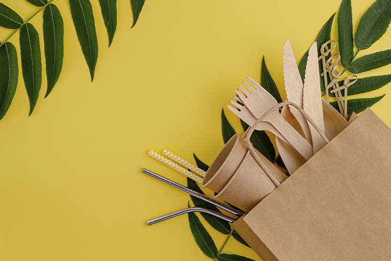 Tek kullanımlık sofra takımları çevreyi kirletir mi?