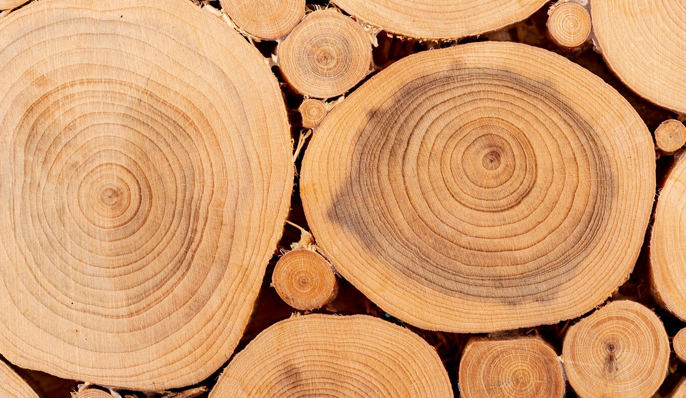 Juxian Yongrui Ambalaj Ürünleri Co., Ltd.